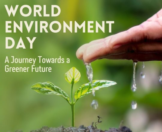 World Environment Day A Journey Towards a Greener Future